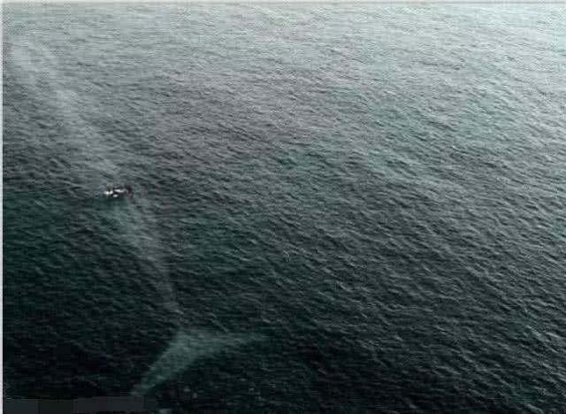 4张让人恐惧的深海图片 一张比一张可怕 越看到最后越心慌 大海深处的恐怖图片 双偶网