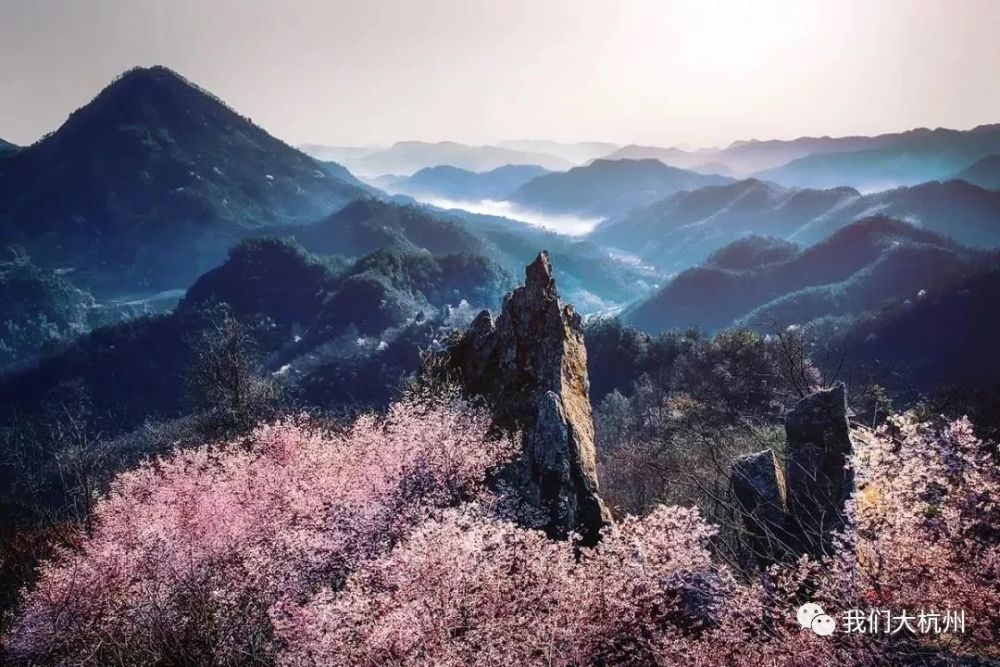 自養土雞,現撈葛溪活魚,山上挖的鮮筍……田園餐桌明日上線!