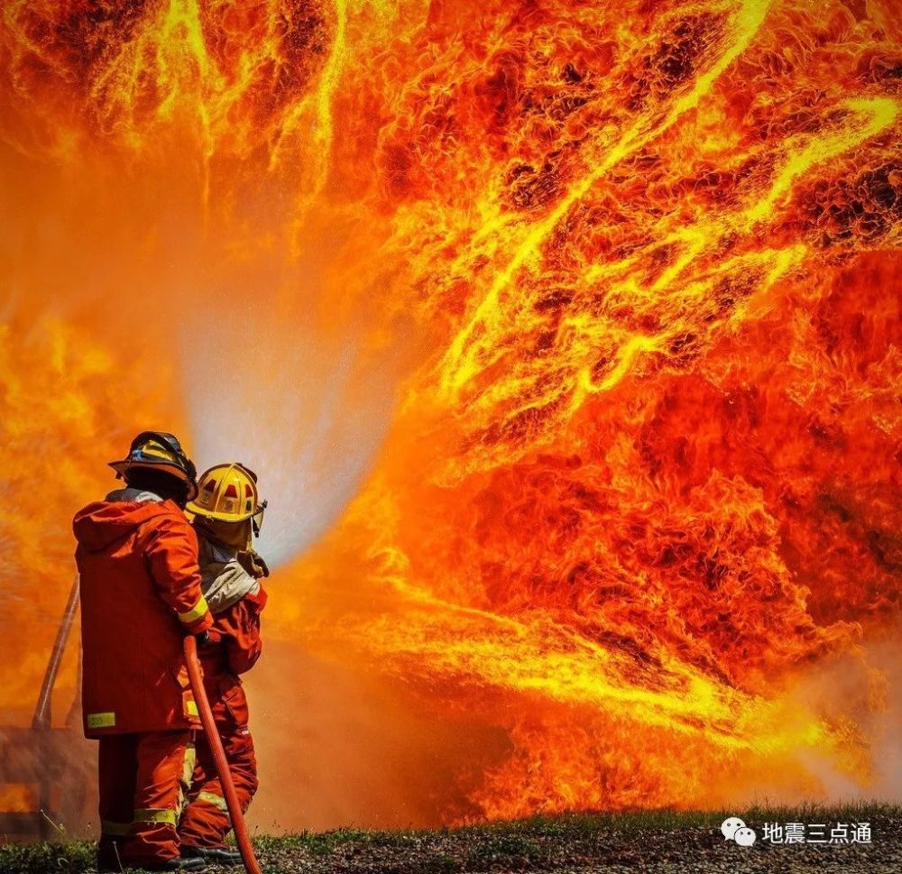 致敬逆火英雄!突遇森林火灾,我们应该怎么办?
