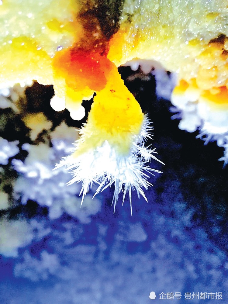 溶洞内的精美石花. 探险者从来cium供图