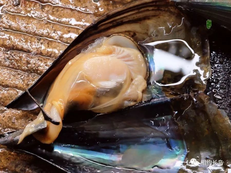 长岛十大网红海鲜,你最喜欢哪一个?