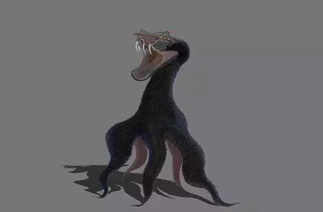 是多冉遗之鱼,鱼身蛇首六足,其目如马耳,食之使人不眯,可以御凶.