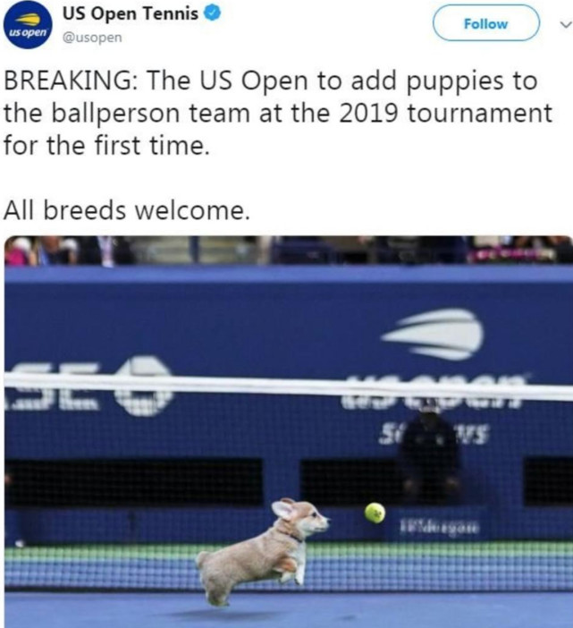 愚人节布雷迪退役玩笑吓坏粉丝 海王加盟橄榄