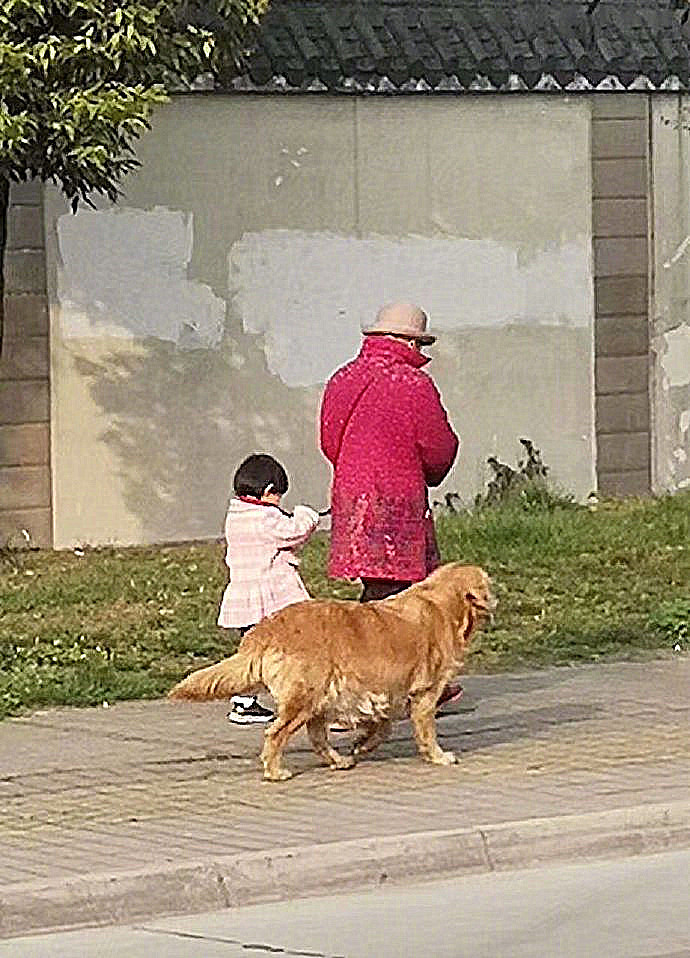 远看奶奶,孙子,和狗子,画面一派温馨,镜头拉近,笑出声来