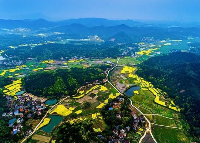 安徽枞阳油菜花旅游宣传推广周暨美丽乡村摄影展启动