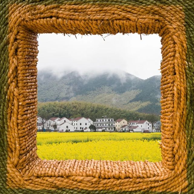 安徽枞阳油菜花旅游宣传推广周暨美丽乡村摄影展启动