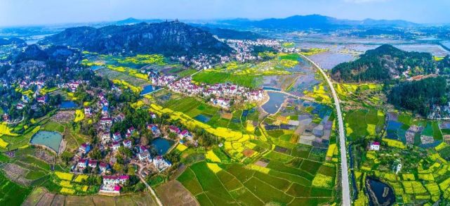 安徽枞阳油菜花旅游宣传推广周暨美丽乡村摄影展启动