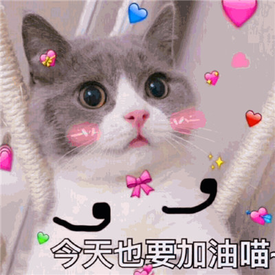 含情脉脉的注视……你懂我意思吧?
