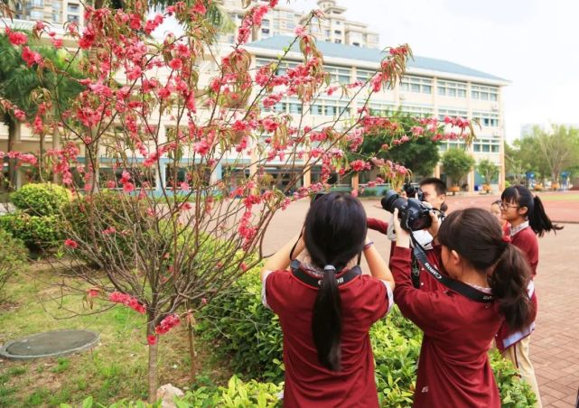 太美了!传说中的珠海校花是这样的