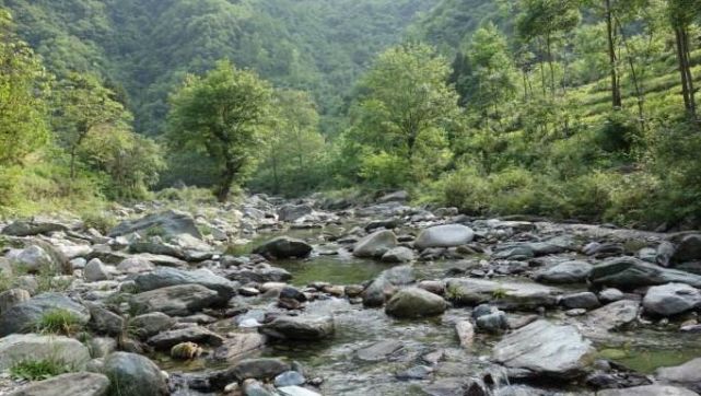 西溝生態村高山林立,奇峰競秀,峽谷萬丈,壁立陡峭,泉湧溢流,瀑大潭深