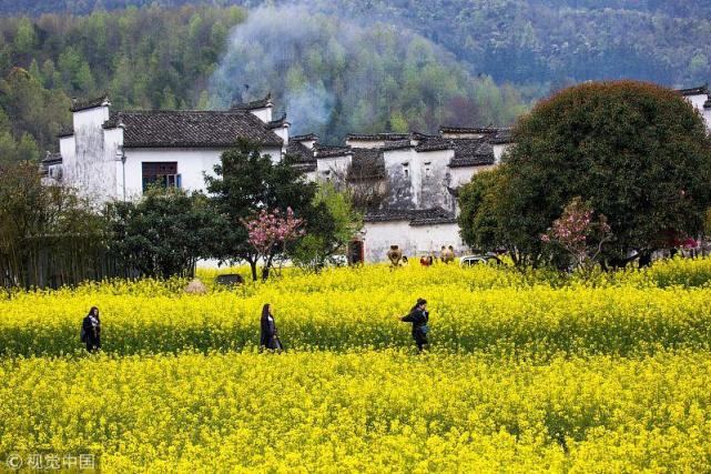 徽派建筑与油菜花 让人沉醉 安徽乡村的诗意生活