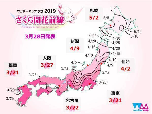 樱花季不只是四月 五一的北海道还有樱吹雪