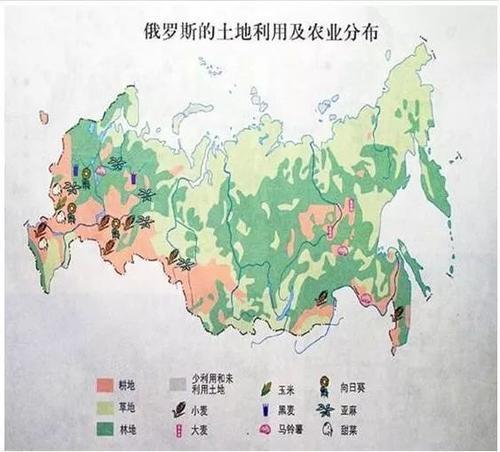 感谢加拿大!该国拿下中国订单后,表示这些原本是加拿大的