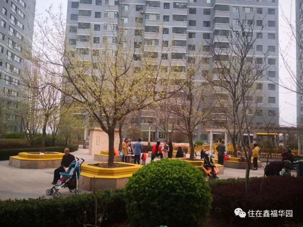 鑫福华园,春和景明,猪年多"福"