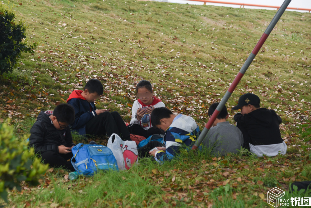 小学生户外郊游不看风景聚在一起玩手机,网友:跟爸妈学的?