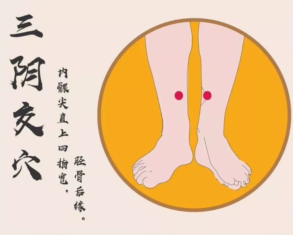 位置:关元穴位于肚脐直下3寸,是任脉和足三阴经的交会穴,也是阴阳元气