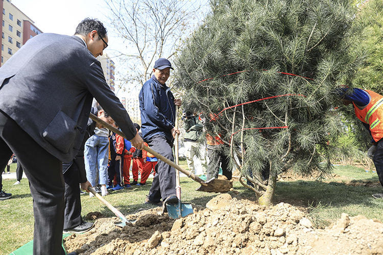追忆特楼故事,栽植中关村绿色