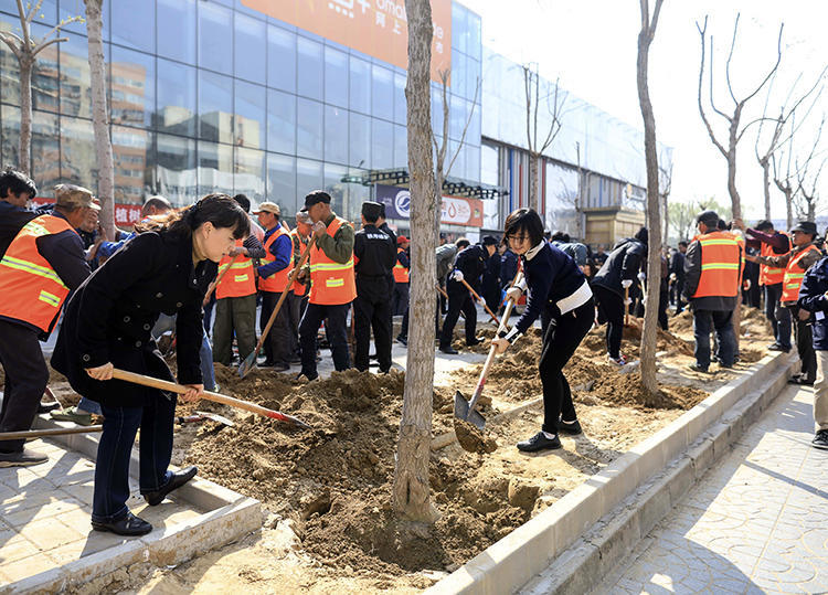 追忆特楼故事,栽植中关村绿色