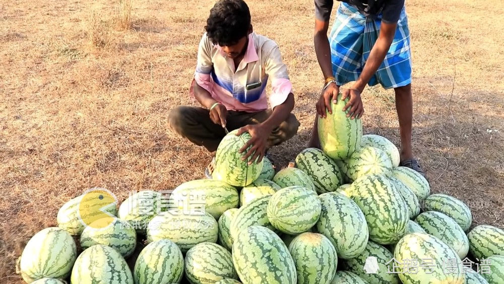印度3个男子摘了40西瓜吃播,看完他们的吃法,网友火大了