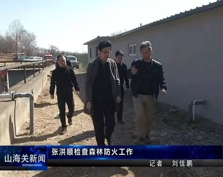 张洪顺检查森林防火工作