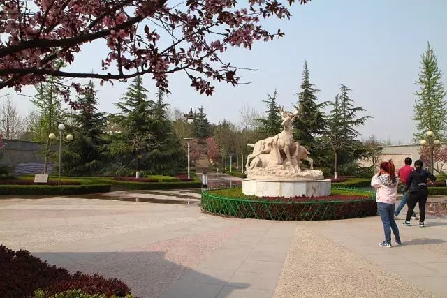 鹿泉这里百米一园一里一景