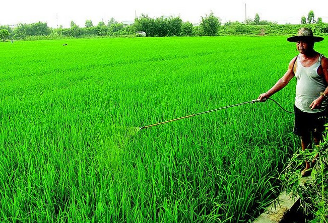 种植管理农作物,这些技巧经验送您们!