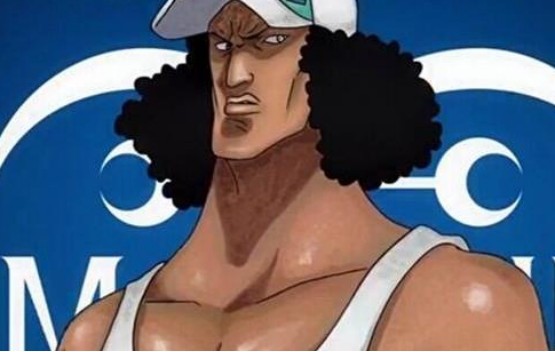 其实青雉也是他的弟子之一,当初卡普还年轻的时候,后面跟着的就有一个