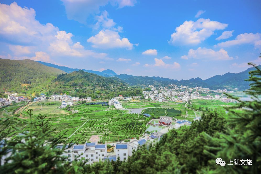 06犹梅乡村旅游产业带已发展一批采摘园种植葡萄,草莓,甜瓜,西瓜等