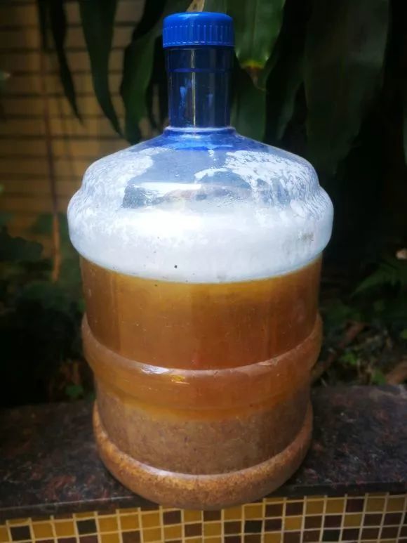 爆盆|老花匠的“秘方”，自制养花“黑水”，浇盆里1月就“爆盆”！