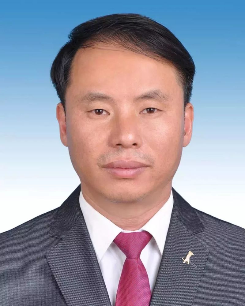 红河州,党委副书记,科长,省委党校,弥勒市,石屏县,党委,中共
