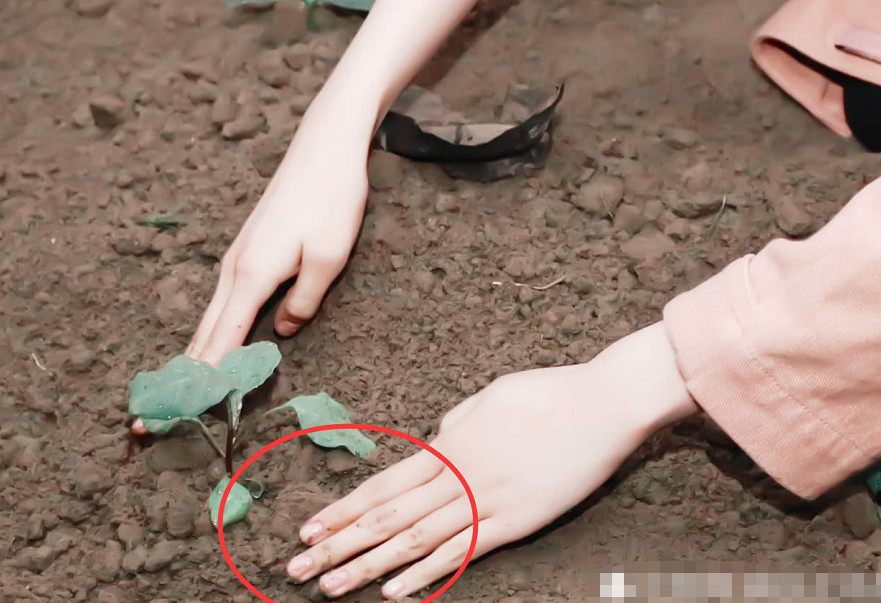 关晓彤做公益活动,拍到手指暴露真实人品,网友:最干净女星!_腾讯新闻