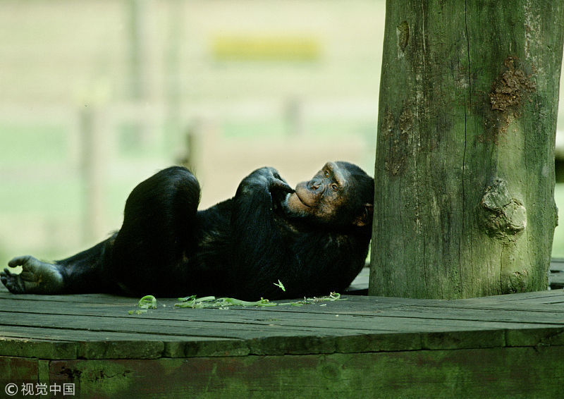 长右居长右,见则水横流,《山海经》山经,长右山之旅