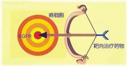 靶向治疗、免疫治疗前先放疗,不可思议的