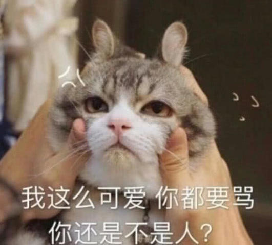 最近火了"占有欲"表情包,杀伤力极强,拿去撩对象!