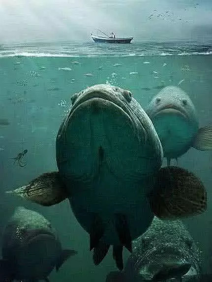 症 海洋 生物 恐怖