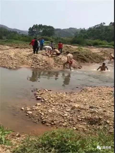 梧州岭脚发生一起10岁小学生溺水身亡事故.