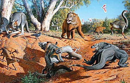 重达一吨没有天敌,灭绝原因让人哭笑不得|东北虎|古巨蜥|灭绝