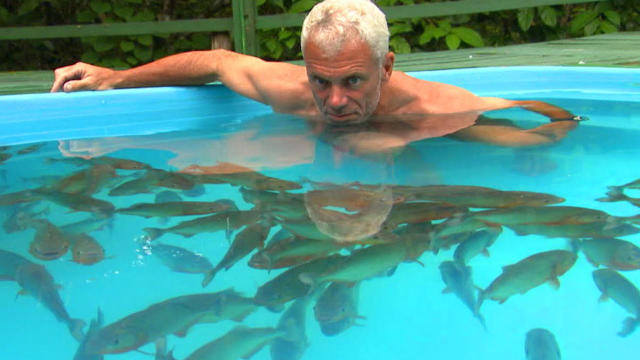 食人鱼真的吃人吗?国外小伙亲身下水实验,结局