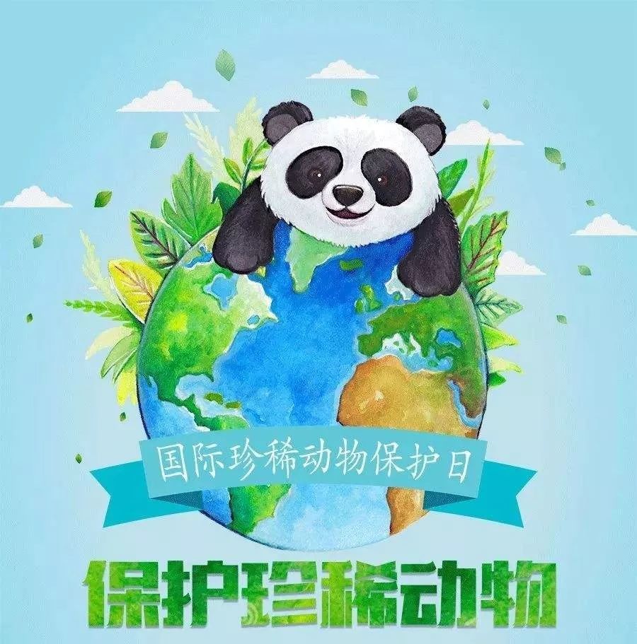 48国际珍稀动物保护日因为珍稀所以珍惜