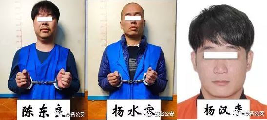 茂名:关于检举揭发陈东良,杨水容,杨汉来等人涉黑恶犯罪团伙违法犯罪