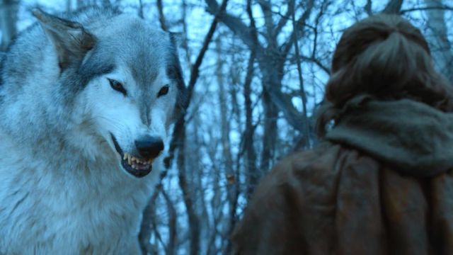 《权游8》即将来临,狼家五子和他们的冰原狼后来都怎么样了?