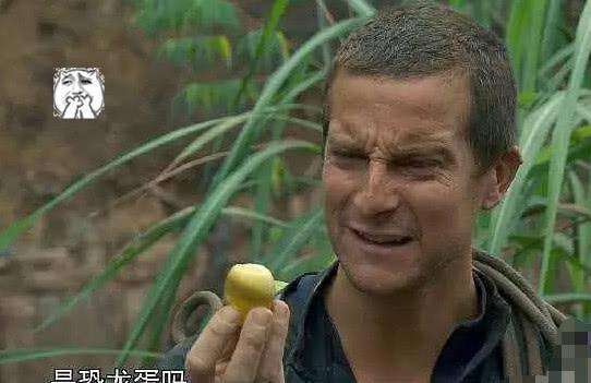 想当年《荒野求生》造就了我们的贝爷,贝爷在各种险恶的环境当中都是