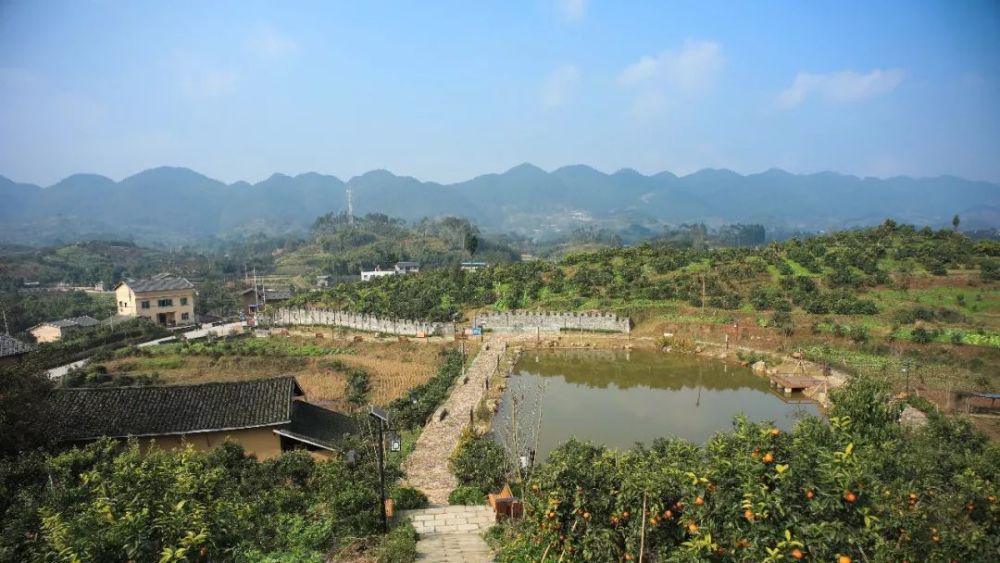约起摘樱桃!第五届樱桃节本周五开幕!出行提示收好!