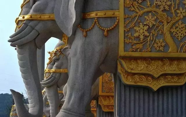 南京金箔 香港回归背后的金箔紫荆花 腾讯新闻