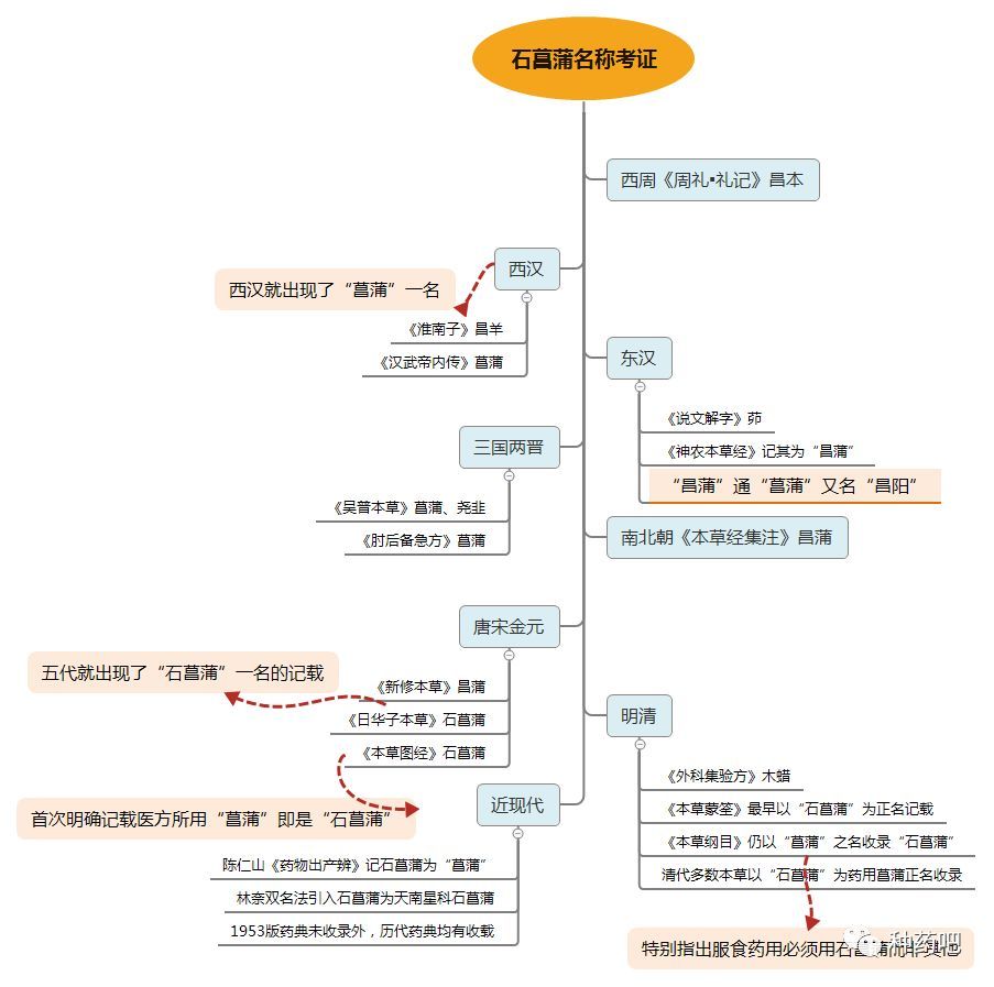 石菖蒲的前世今生 资讯 腾龙国际网址 手机版