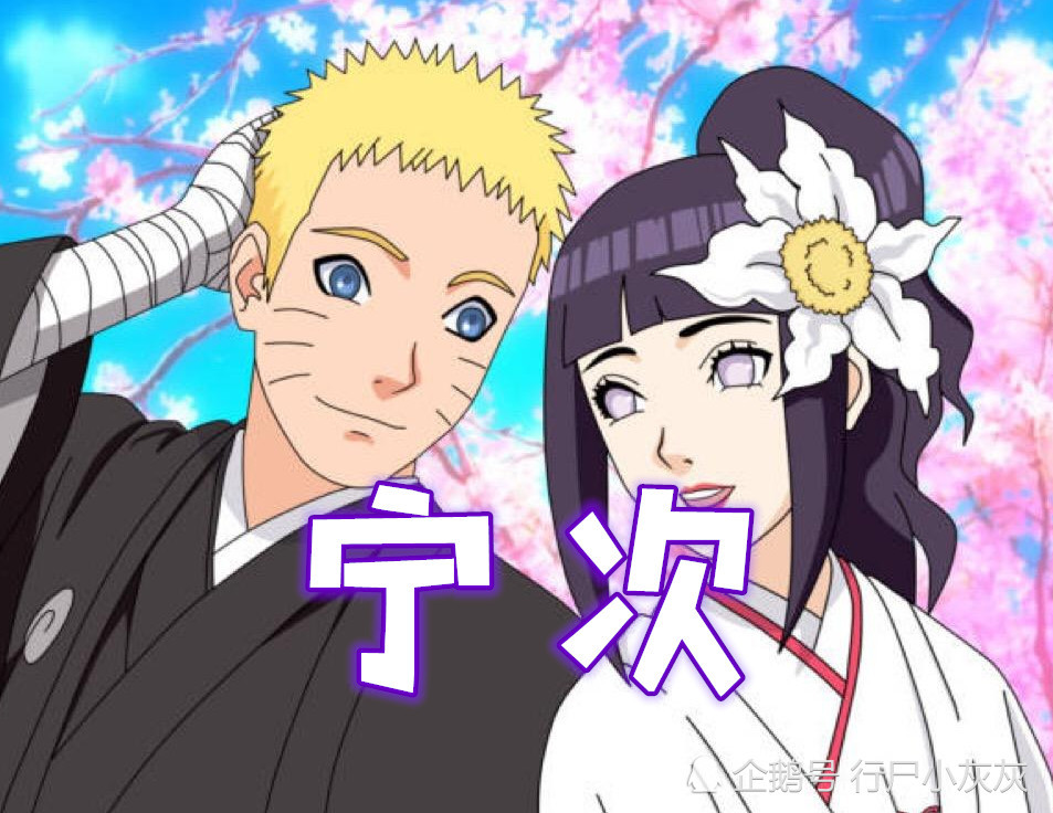 鸣人,宁次,小樱,佐助,雏田