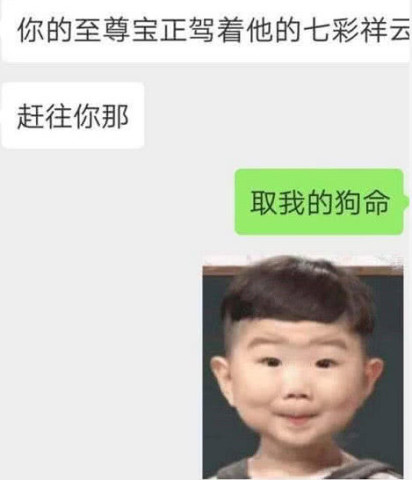 女友是钢筋直女是啥感受?小奶狗已气哭,网友
