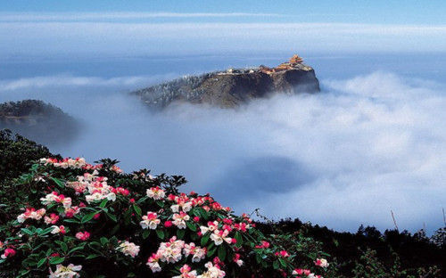 廣東老人去四川樂山旅遊,無意間拍下一張照片,獲得景區280萬獎勵.