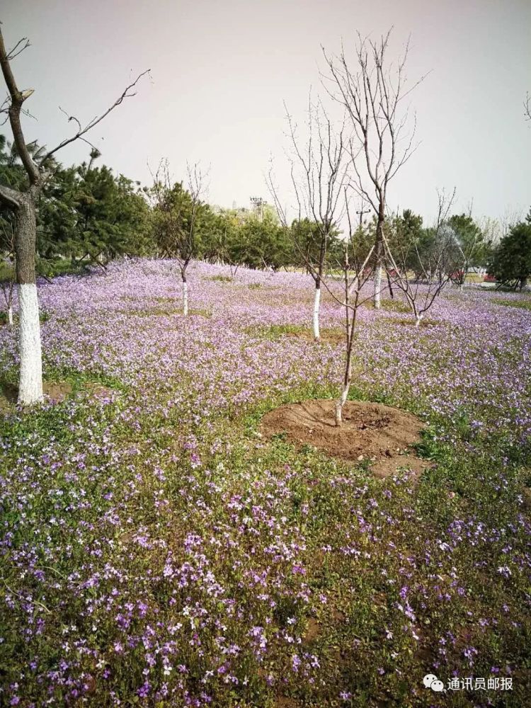 私享妙云寺公园