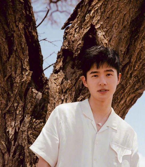 张歆艺,袁弘,刘昊然